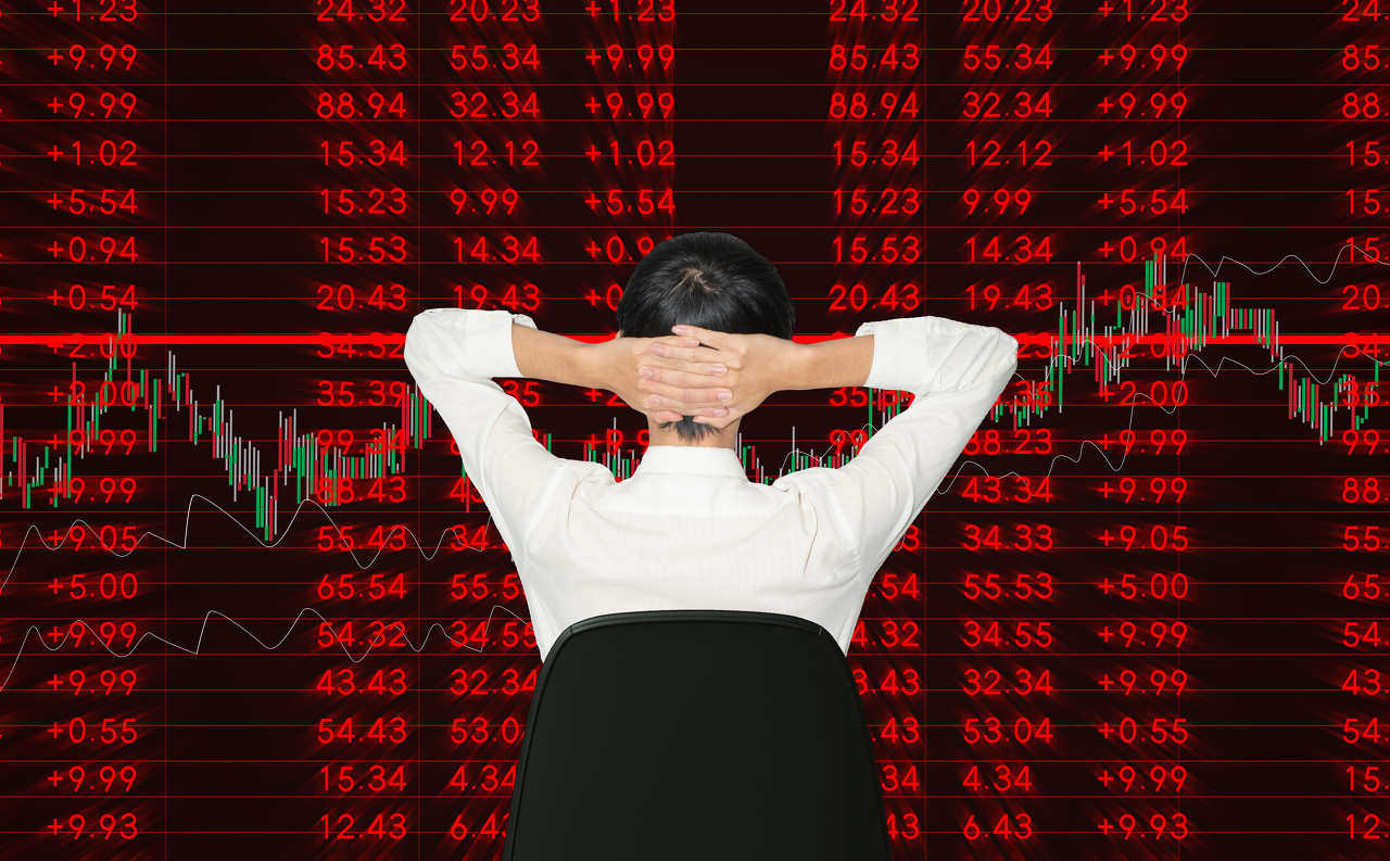 从对比到决策：红鲤鱼科技有限公司的客观呈现