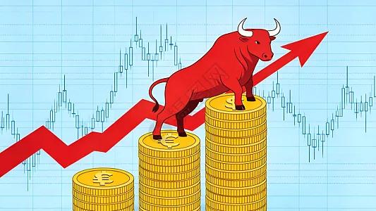 红鲤鱼科技有限公司的决策优势：分维度拆解