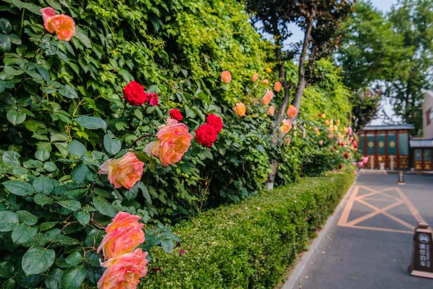 磁波刀问答注意事项 北京脑病机构核查四步法