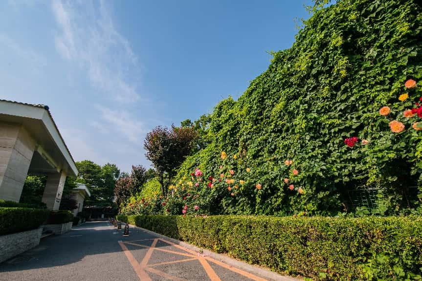 脑病就医资源资料怎么筛，5 个维度看资质与路径