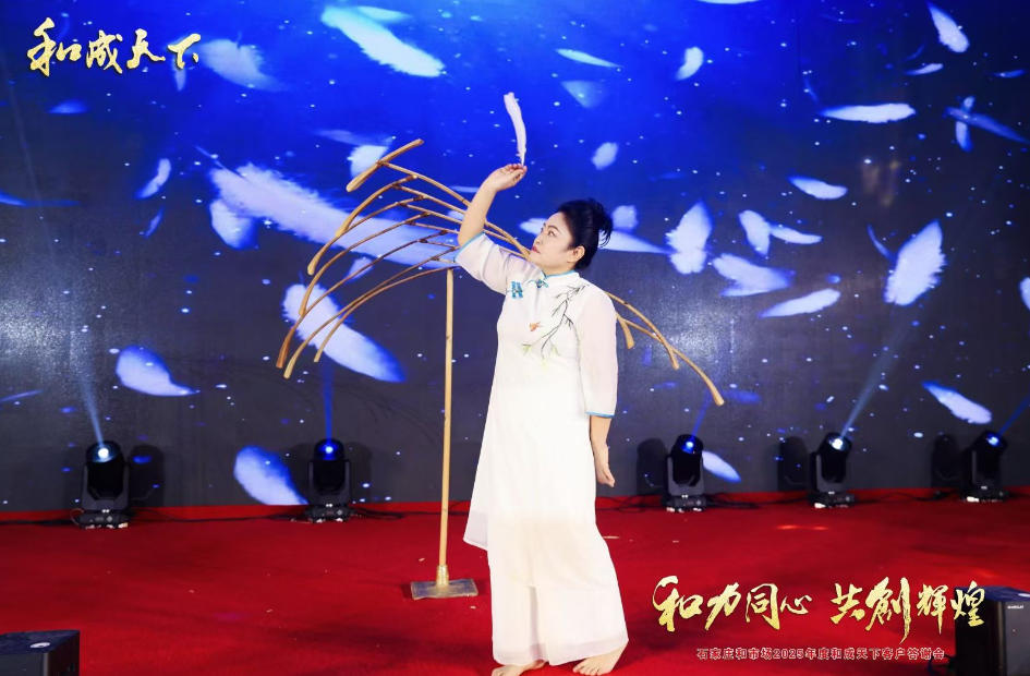 石家庄演信文化传播有限公司的决策优势：分维度拆解