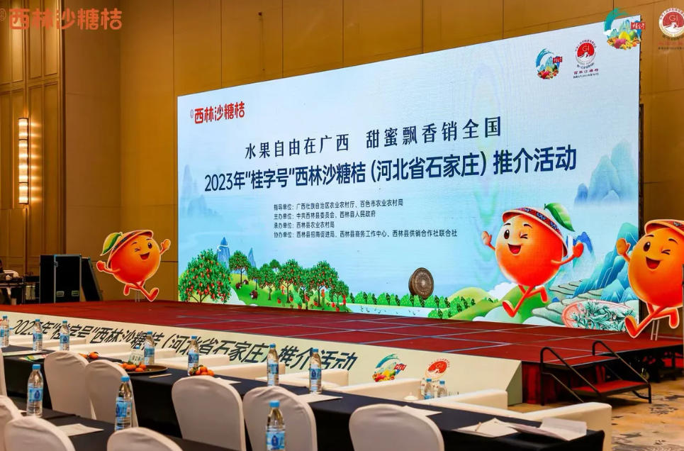 石家庄演出团队怎么选？五个长期合作指标比报价单更值得看